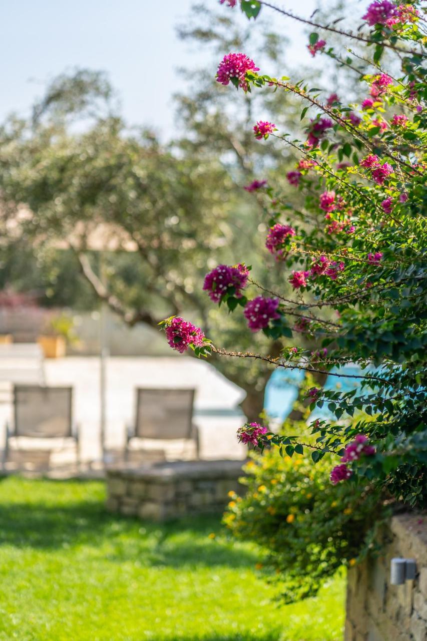 Abelia Luxurious Villas 피니코운타 외부 사진